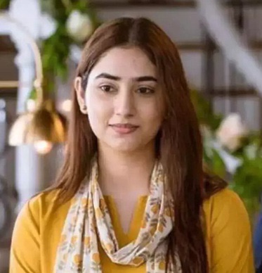 Bade Achhe Lagte Hain 2: Ram and Priya to go separate ways? Netizens are left scratching their heads over the new precap