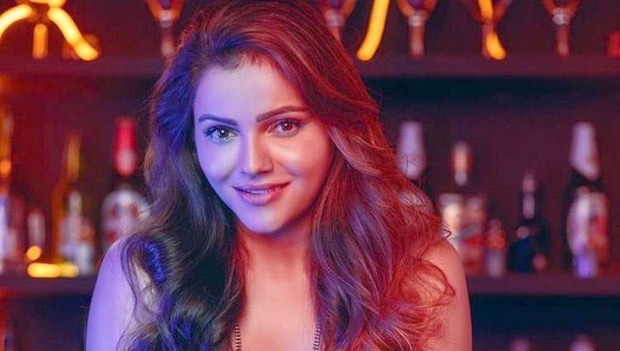 Bharti Singh, Rubina Dilaik, Divyanka Tripathi and 5 more TV actresses who earn more than their husbands