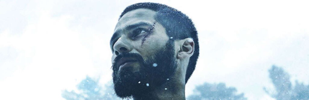 Haider